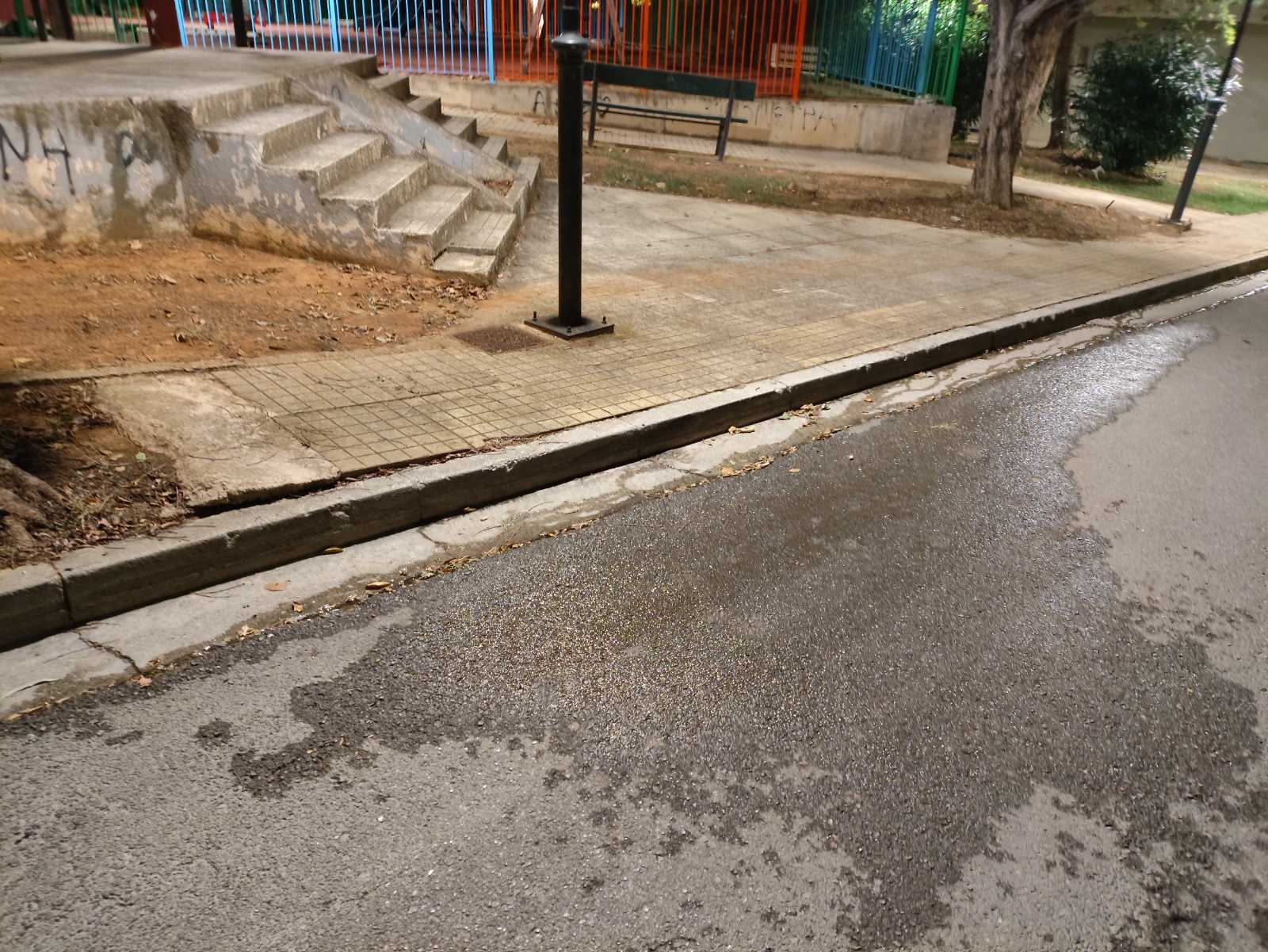 LIMATA_ZOFRIA.jpg